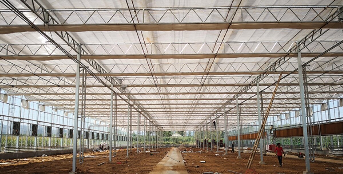 信橋鋼構(gòu)：打卡蒙陰農(nóng)業(yè)溫室大棚、青州黑牛養(yǎng)殖基地！(圖3)